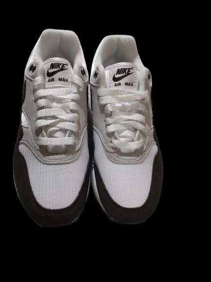 Tenis Nike air max 1
